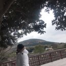 우진카랜드 이미지