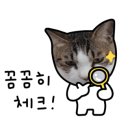 플렉슈