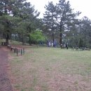 제주 올라 이미지