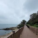 송정 오셔너스 이미지