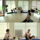 해피도그 이미지