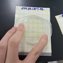 HACCP 전문인력 양성과정 실습(실험) 후기~