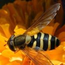 럭키농장 이미지