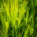 가톨릭대학교부천성모병원 이미지