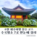 남원읍-42 | 6월 제주수국명소 BEST 7｜카멜리아힐·혼인지·휴애리 제주 수국여행 코스