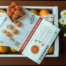 방가네농장 이미지