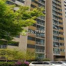 목련로273번길 이미지