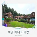 십동펜션 | [태안/몽산포] 오션뷰에 수영장 있는 애견 동반 펜션, 데네브