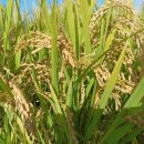 오진농장 이미지