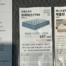 명동혼수 | 베스트슬립 명동 쇼룸 방문 후기 내돈내산 혼수 침대 찐후기