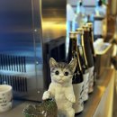 지금애월 이미지