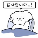 홀인원코스메틱