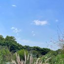 영성공원 이미지