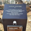 삼방동장애인복지관(1165)? | 가야의거리(가야사누리길)