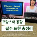 봉봉봉 비즈니스 프랑스어 | 프랑스어 공항 마중 필수 표현 총정리.zip (feat. 프랑스어 공부 7일차)
