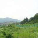 광공인중개사사무소 이미지