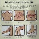 두피엔 에디쁘 | 이시안 두피 괄사 추천 에디쁘 쁘띠 두피 리프팅 솔직 후기