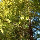 '25. 09. 12(금) 출석부(하늬바람 불어오는...) 이미지