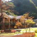 동해무릉건강숲 이미지