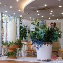 카페 블랑(CAFE BLANC)