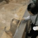 안서고시텔