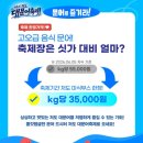 [실시간]강원도 고성 저도 대문어축제 2026 총정리 현지인이 말하는 대진항에서 만나는 진짜 대문어의 맛