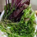 소금&설탕 이미지