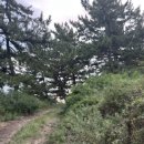 망양주유소 이미지