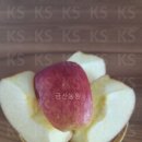 딜리셔리 이미지