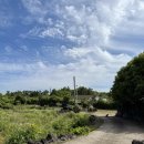 자모네 | 아기랑 제주 여행 감성 숙소 : 자모네 JAMONE D동 이용 후기 (제주시 구좌읍)