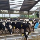 와우목장 | 경기 이천 가족나들이,체험 / 와우목장