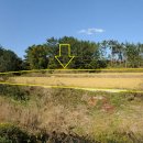 부연농장 이미지