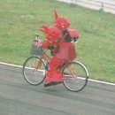 최 락 당 이미지