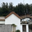 사유의숲 이미지