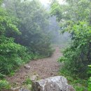초곡쉼터 | 260626 내연산6봉종주