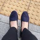닥터스윌리
