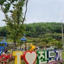 팝콘호스텔 | 2026 진도개 페스티벌 아이들과 방문 후기(w.모아통닭)