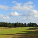 플레이 골프 이미지