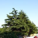 포항시남구37 이미지