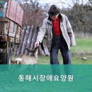 동해시장애요양원 | 동해시요양원,천곡동요양원 동해시장애요양원 - 동해시 요양원, 편안한 휴식 공간 찾는다면