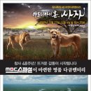 퀸뉴욕