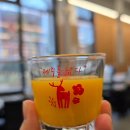 동화킴스관광호텔 | 제주 동화마을 기념품 선물 가게 제스코 관광마트 추천