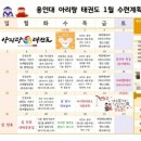 용인대 아리랑 태권도장 | 풍무동 용인대아리랑태권도에서 운동, 놀이 걱정없이 즐기는 태권도학원 추천해드려요~~^^