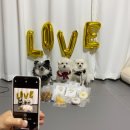 까까묵자 이미지