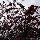 대구여자상업고등학교 이미지