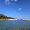 넓은바다집 | 감포회맛집 만수로회센터 바다뷰와 넓은 공간, 한상차림 후기