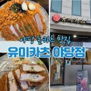 유미카츠야당점 | 야당 돈카츠 맛집 유미카츠 솔직 후기, 운정에서 즐기는 푸짐한 한 끼