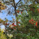 청소년문화공원 이미지