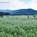 효석문학공원 이미지