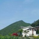 정남 민박 이미지